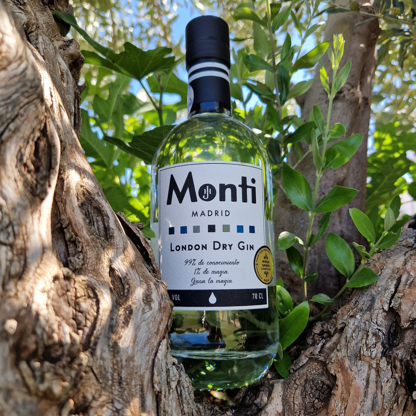 GIN MONTI