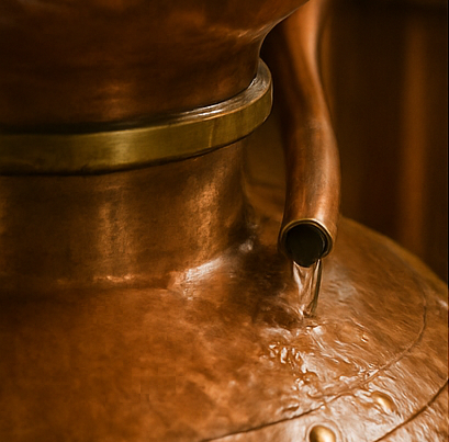 VISITA+CATA 12DIC 19H